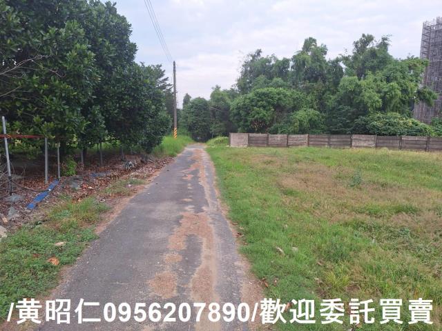 台南農地-4