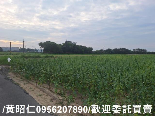 台南農地-6