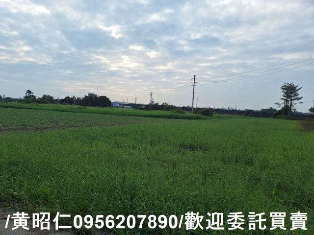 台南農地-2