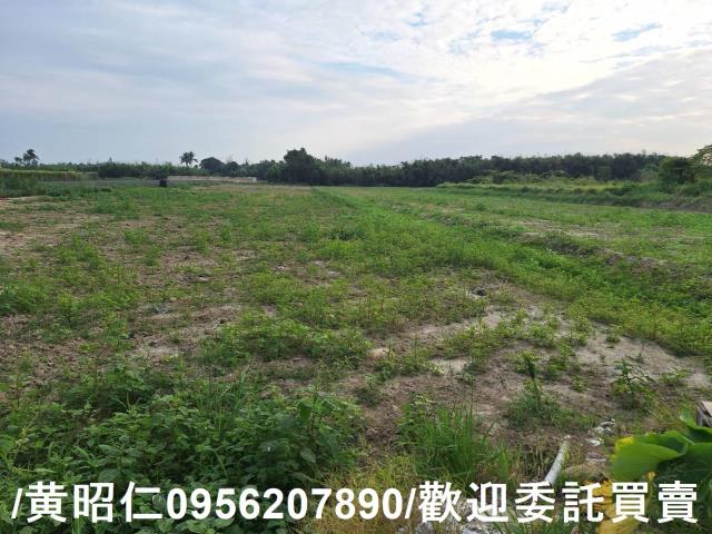 台南農地-2