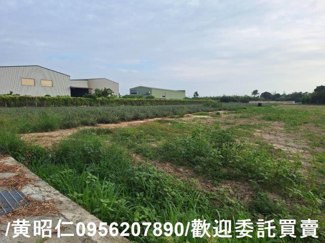 台南農地-5