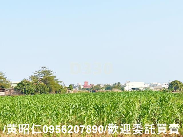 台南永康農地-12