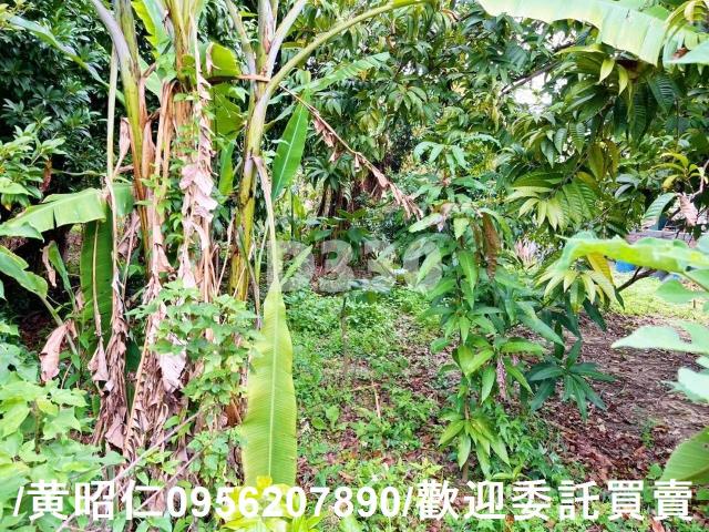 台南佳里建地-10