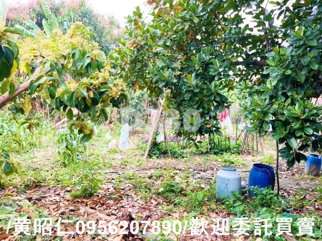 台南佳里建地-7