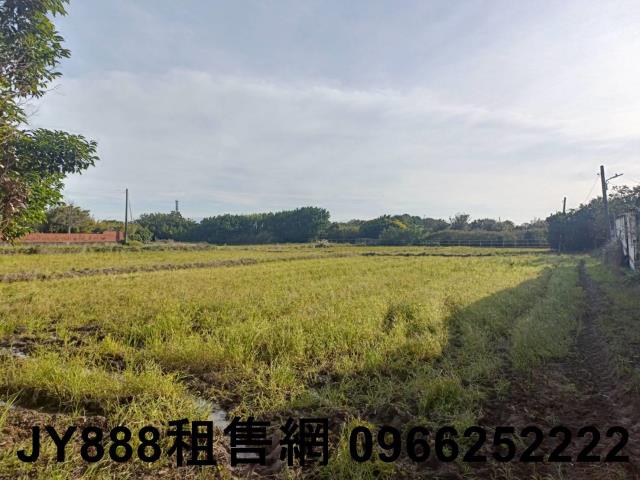 新屋農地-4
