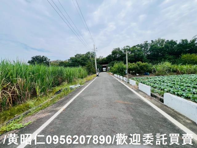 台南善化農地-3