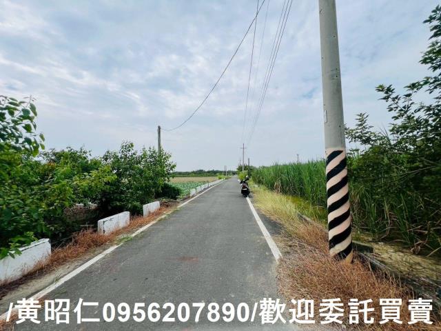 台南善化農地-9