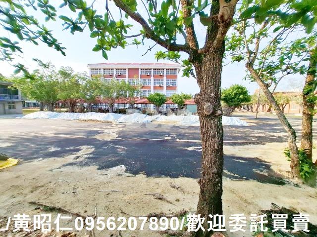 台南七股農地-11