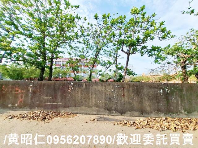 台南七股農地-12