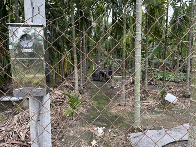 屏東內埔農地-2