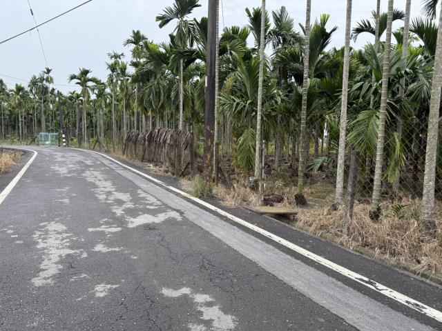 屏東內埔農地-3