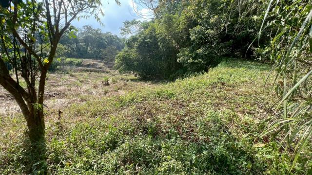 新竹交通用地-13