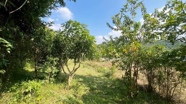 新竹交通用地-6