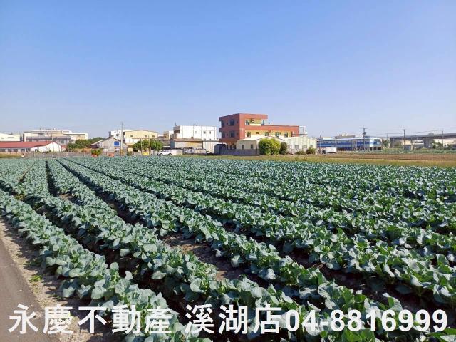 彰化埔鹽農地-8