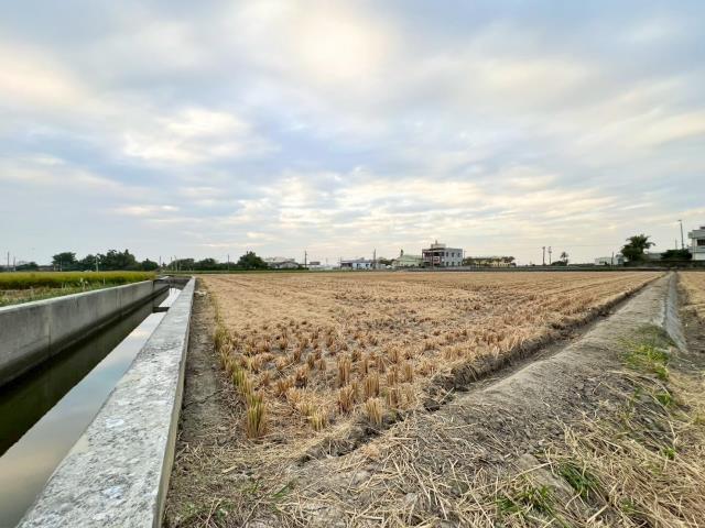 嘉義溪口農地-2