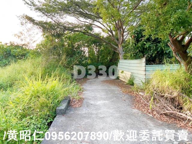 關廟農地-11