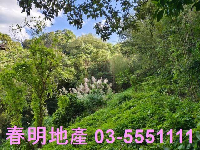 新竹關西農地-10