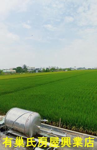 嘉義鹿草農地-4