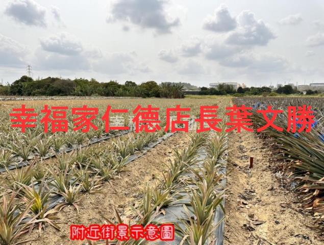 台南山上農地-14