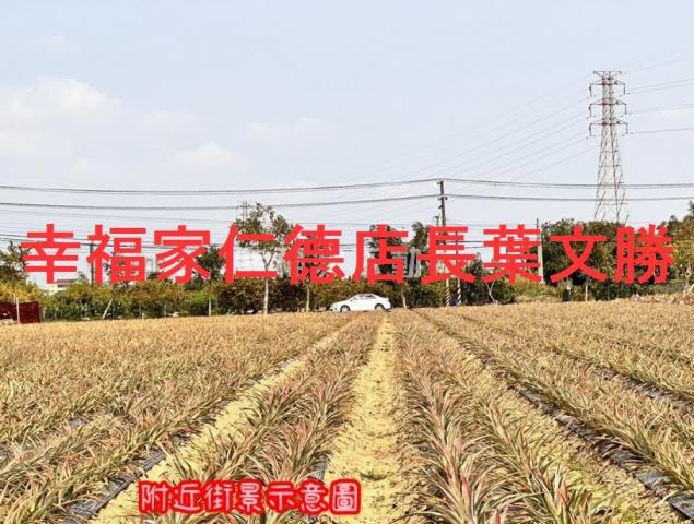 台南山上農地-1