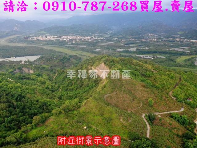 台南玉井農地-15