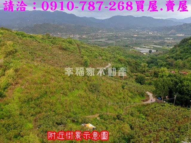 台南玉井農地-2