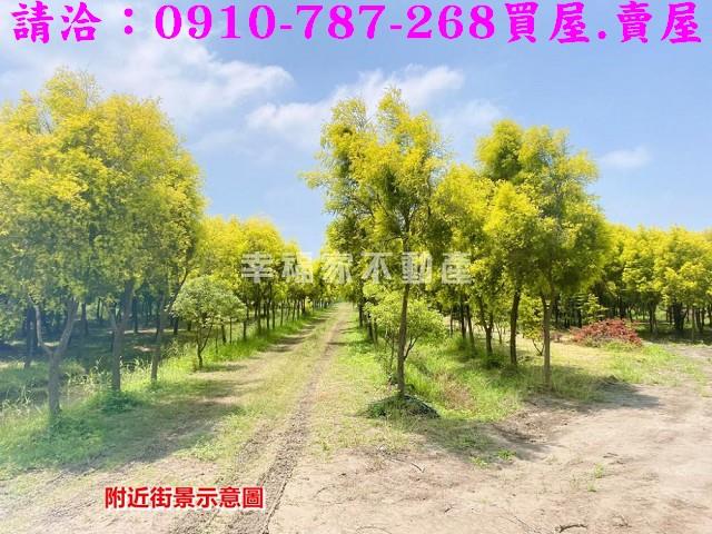 台南六甲農地-15