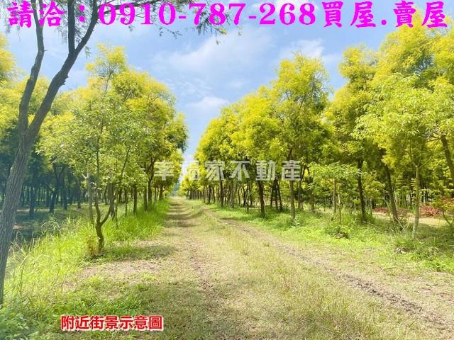 台南六甲農地-1