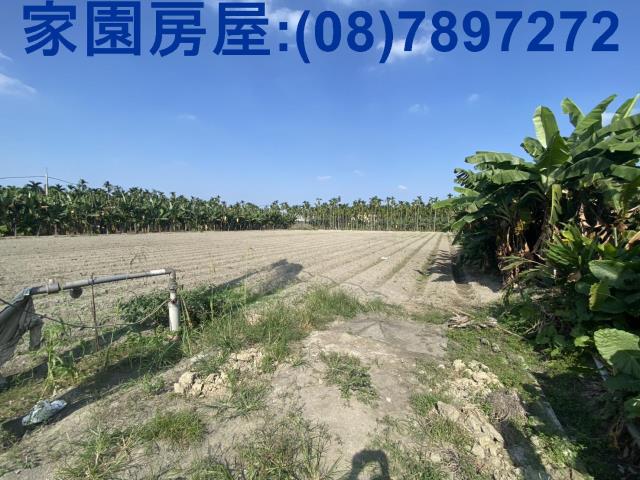 屏東農地-5