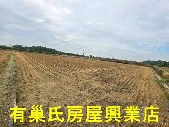 台南農地-3