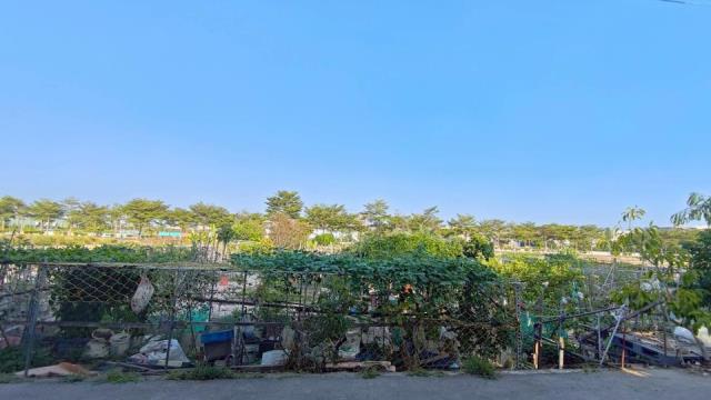 高雄大寮農地-3