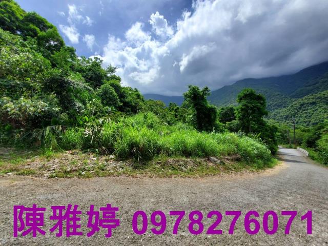 台東卑南農地-9