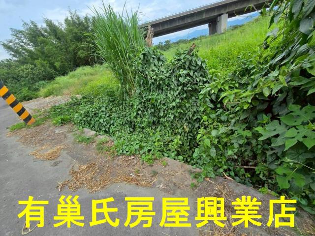 台南白河農地-6