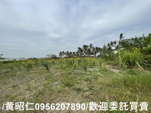 台南永康農地-1