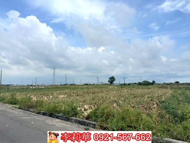 台南鹽水農地-8