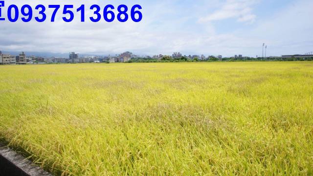 宜蘭宜蘭市農地-3