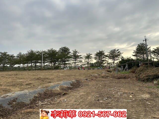 台南新化農地-6