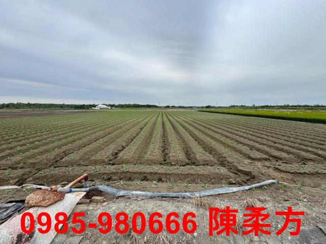 嘉義水上農地-2