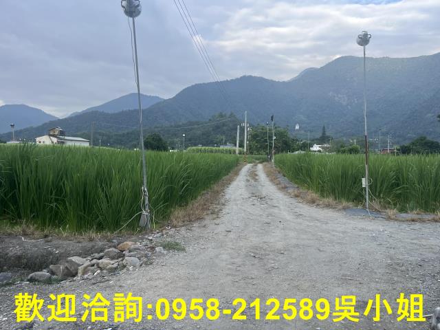 南投埔里農地-4