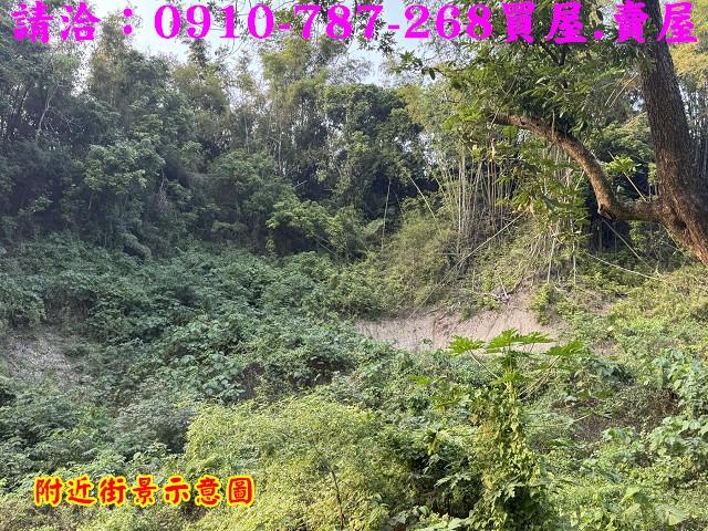 台南龍崎農地-15