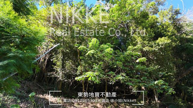 東勢農地-5