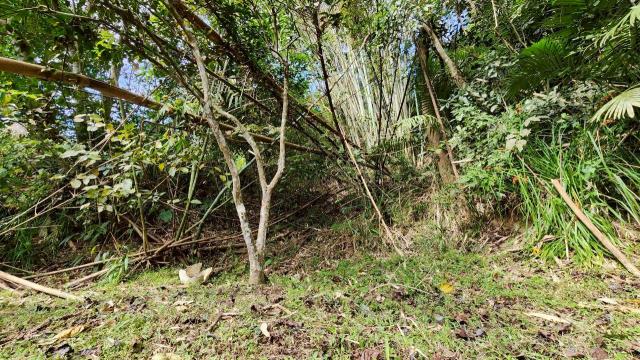 新竹北埔農地-12