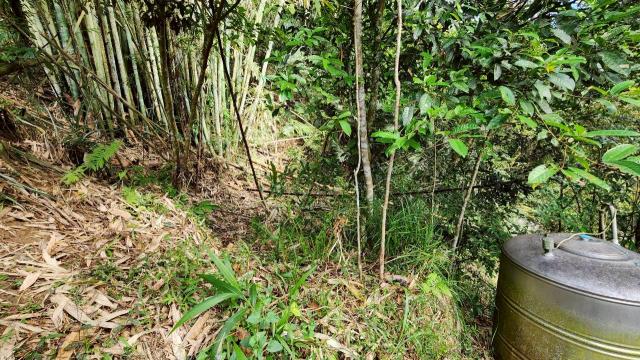 新竹北埔農地-14