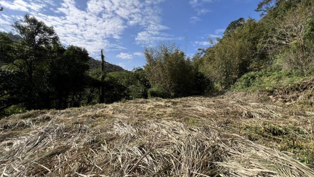 新竹關西建地-1