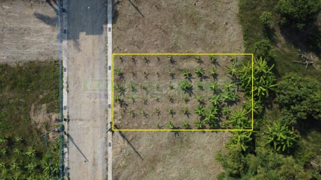 高雄大社農地-7