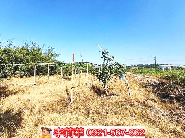 台南關廟農地-10