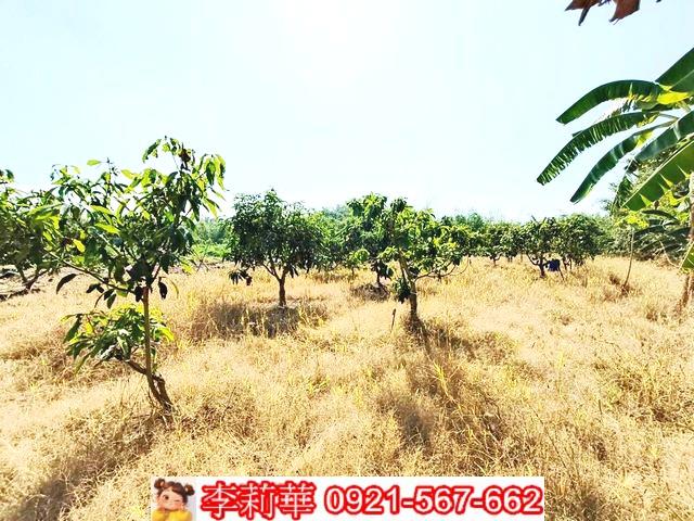 台南關廟農地-11