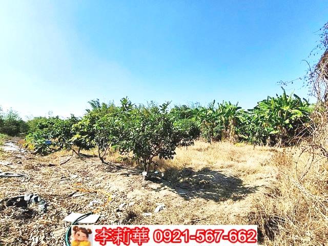 台南關廟農地-12