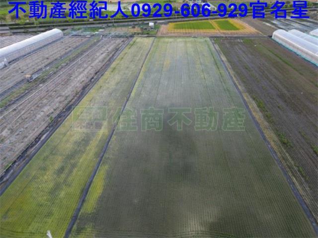 太保農地-5