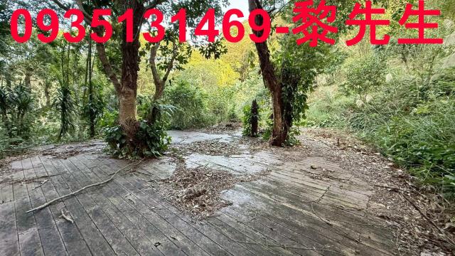 新竹關西農地-3